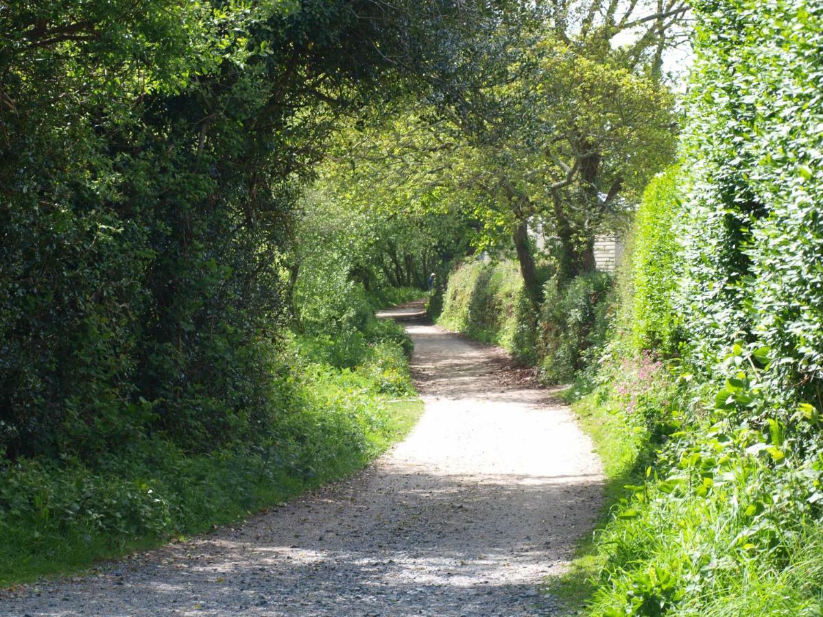 Polgreen Farm Panzió St Austell Kültér fotó